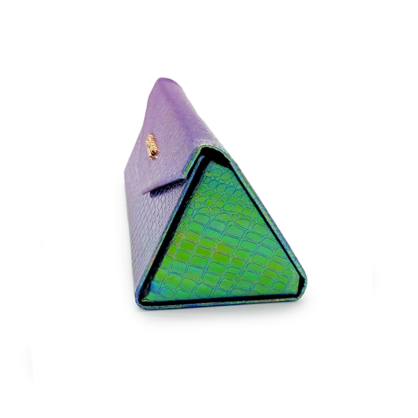 Holographic Foldable Sunglasses Case